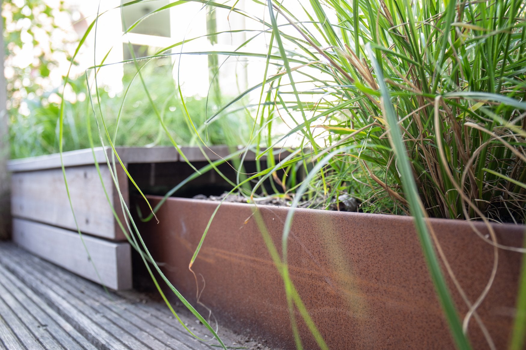 20d gesselgroen  20190831 2